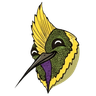 Punkibrí